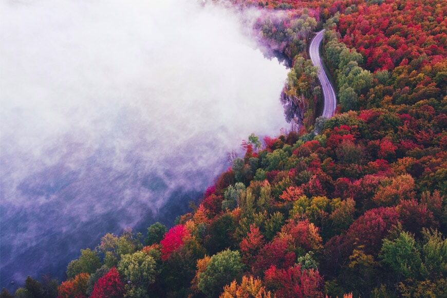 Luchtfoto van een herfst bos