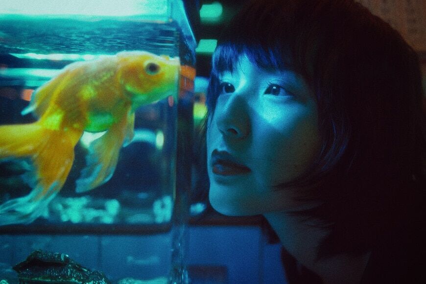 Vrouw die naar vis in aquarium kijkt
