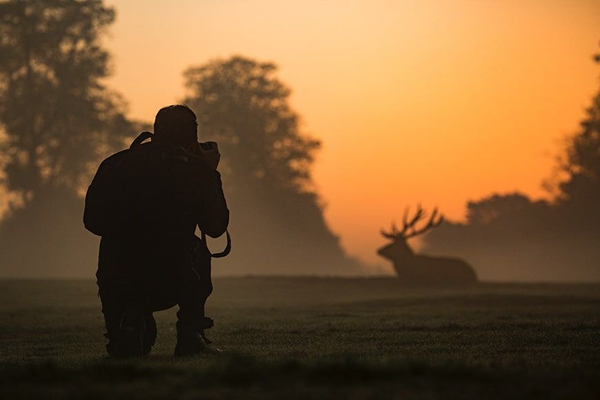 Fotograaf die foto maakt van een hert bij zonsondergang