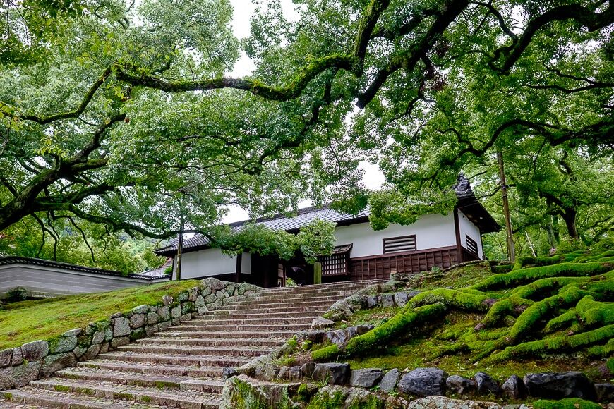 Prachtige bomen omringende trappen die leiden naar een Japans gebouw
