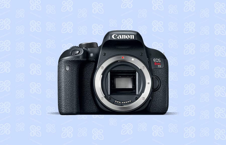 beste camera voor sport budget Canon DSLR