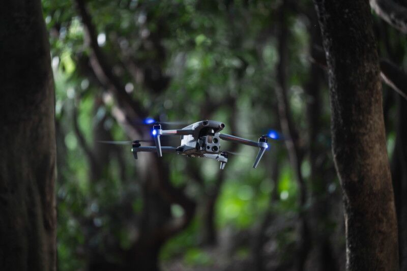 drone vliegt door bos