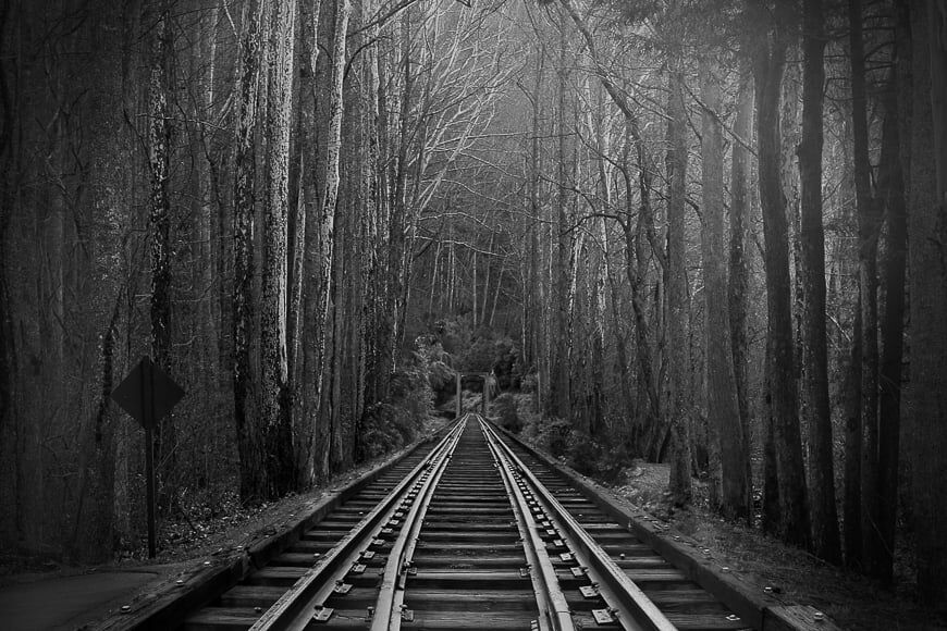Zwart-wit bos met treinspoor.