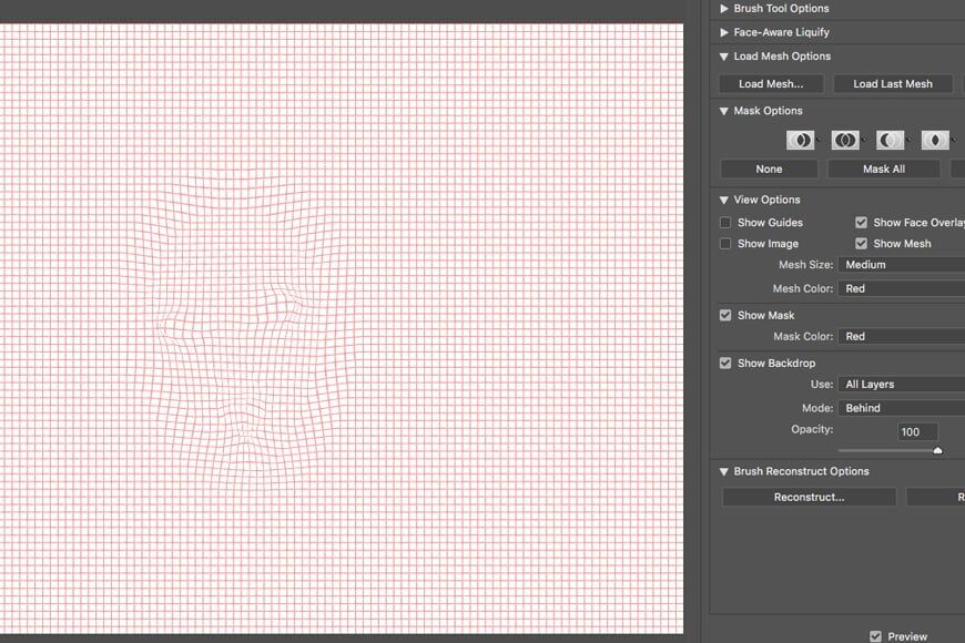 Een net gebruiken om een afbeeldingslaag in Adobe Photoshop te wijzigen.