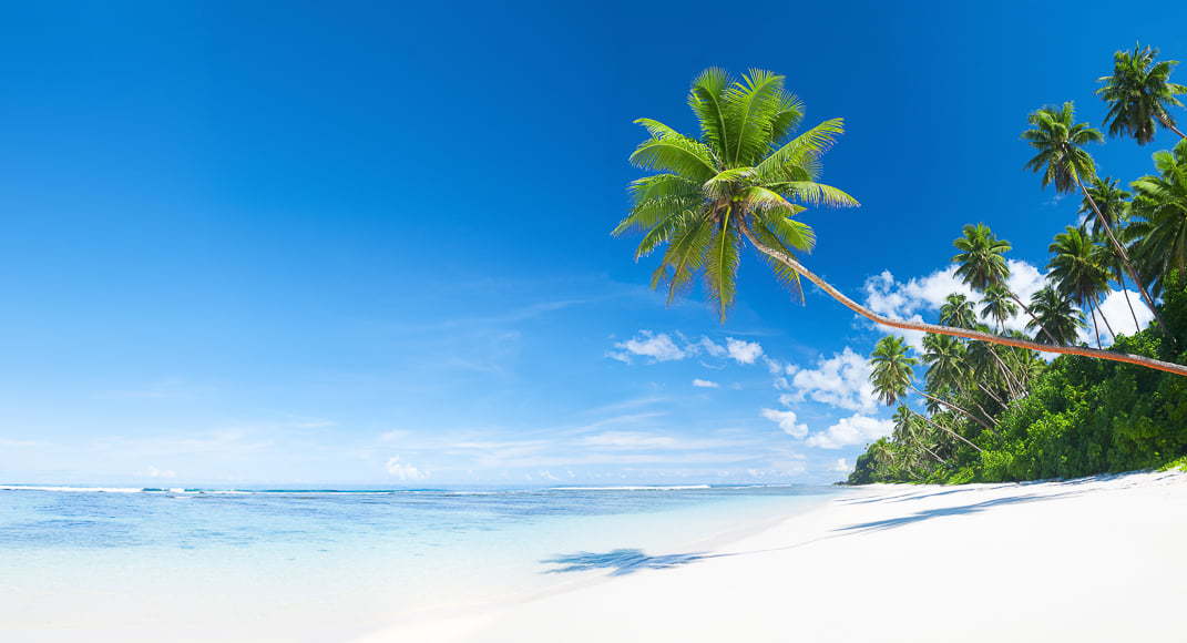 Landschappen met blauwe luchten, rotsen, bomen en zand kunnen prachtige strandbeelden opleveren.