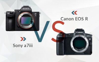 Canon EOS R vs Sony a7iii Camera Vergelijking