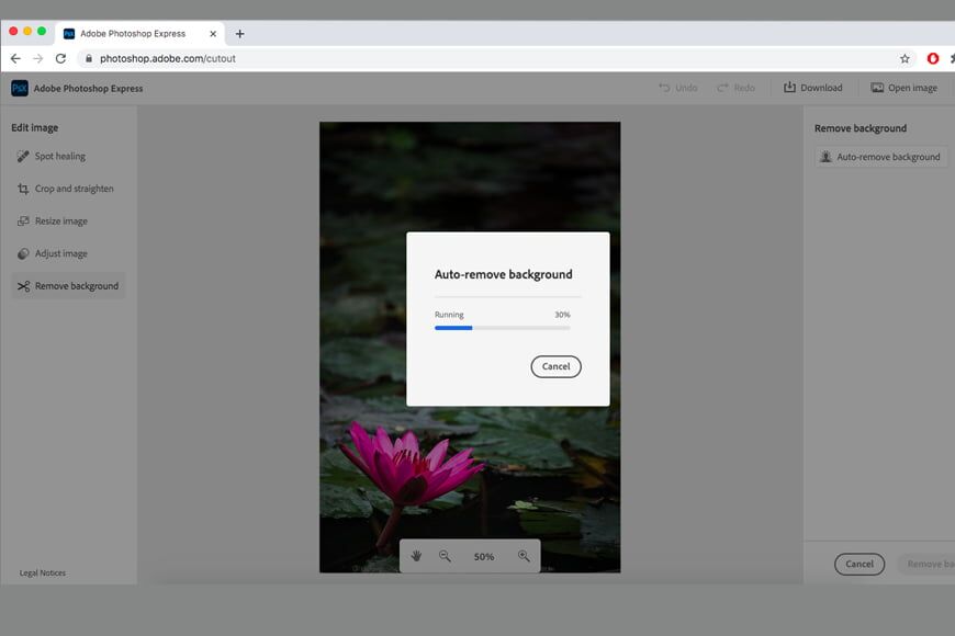 Hoe de achtergrondkleur te wijzigen in Photoshop Express. Achtergrond automatisch verwijderen betekent dat er geen snel selectiegereedschap nodig is.
