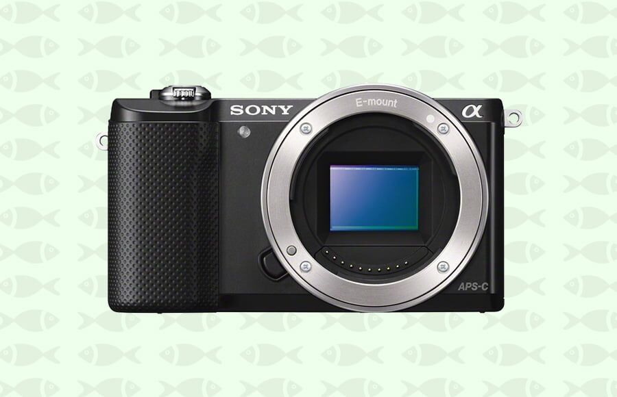 De Sony alpha a5000 is een 20.1MP resolutie, verwisselbare lens camera met live view vaste LCD zoeker. Het is goedkoper dan de a6000 Sony.