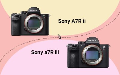 Sony a7R II vs Sony a7R III