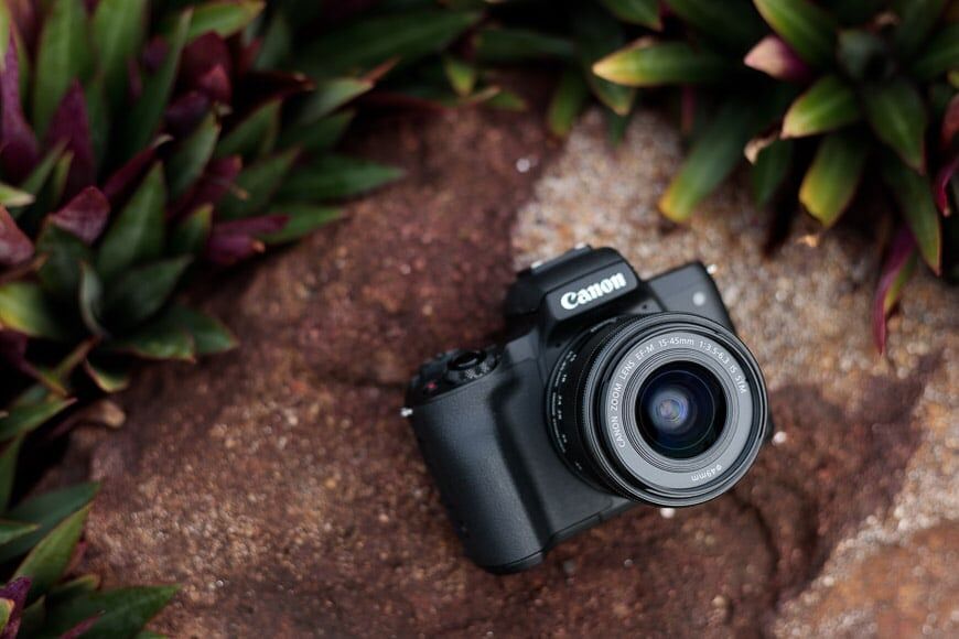 Canon 6D Mark II + EF 50mm f/1.8 STM lens | 1/200 bij f/2.8 ISO 100