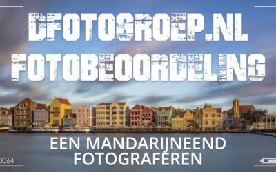 Een mandarijneend fotograferen – Dfotogroep.nl beoordeling 002