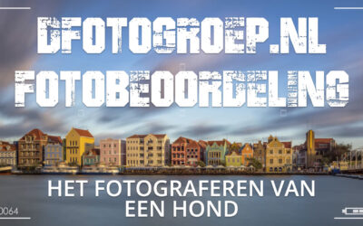 Het fotograferen van een hond – Dfotogroep.nl beoordeling 007