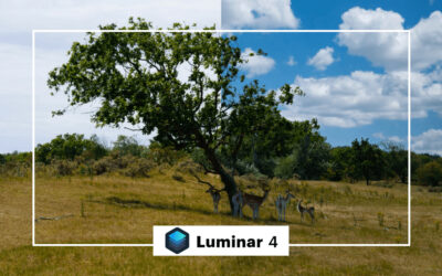 Wat is Luminar en welke mogelijkheden heeft Luminar 4?
