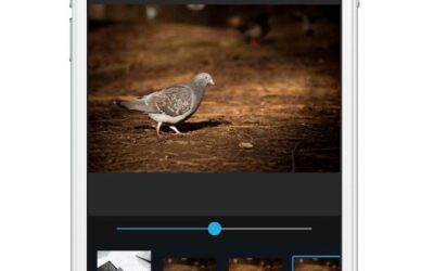 Werken met Photoshop Express: basisbewerkingen op je smartphone