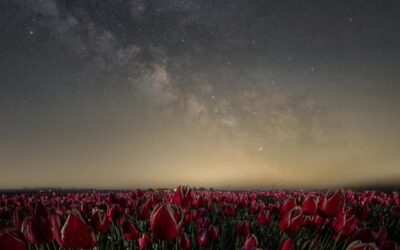 Dit zijn Nederlandse locaties met zo min mogelijk lichtvervuiling voor astrofotografie!